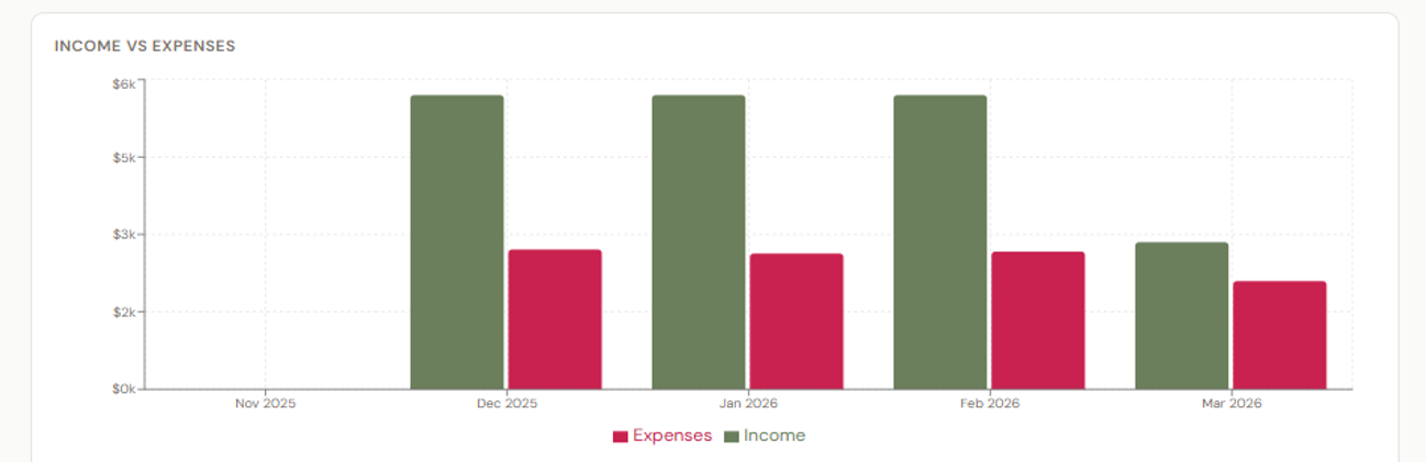 Before: Income vs Expenses bar chart using olive green and muted rose colors that are hard to distinguish with color vision deficiency